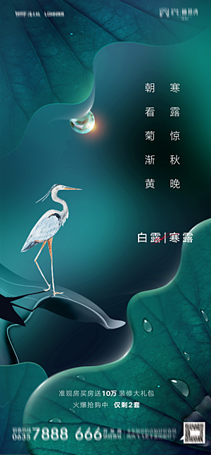 地产白露寒露简约大气海报