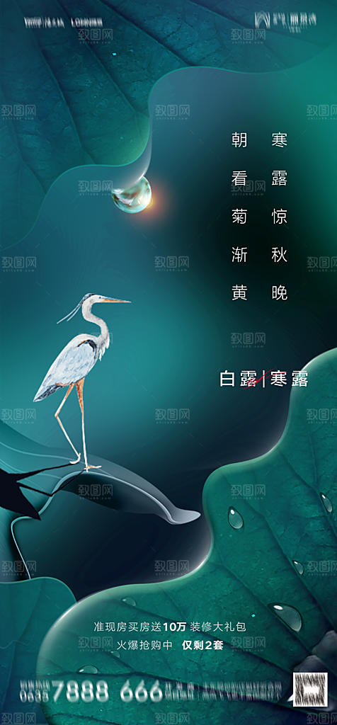 地产白露寒露简约大气海报