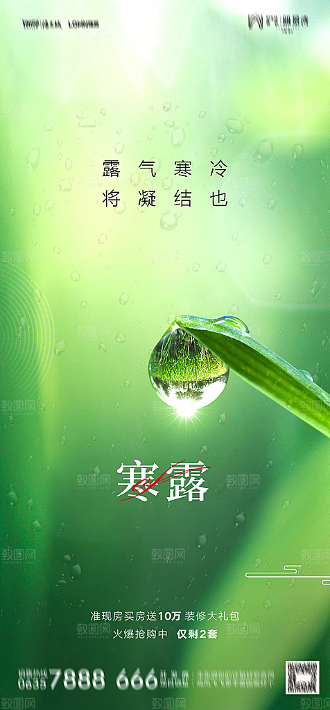 地产白露寒露简约大气海报