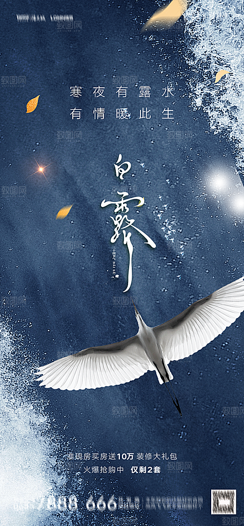 地产白露寒露简约大气海报