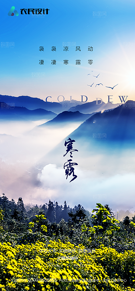 地产白露寒露简约大气海报