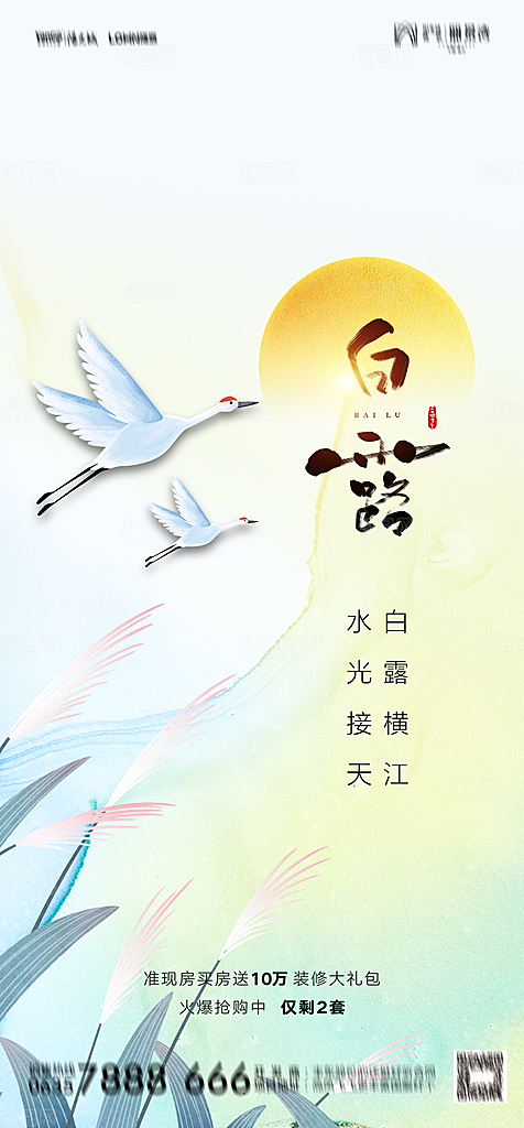 地产白露寒露简约大气海报