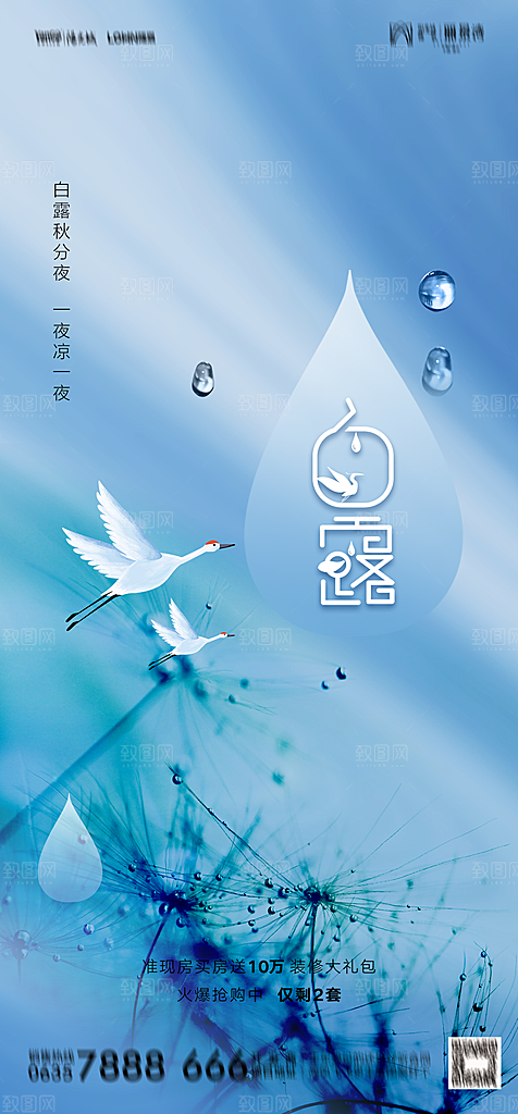 地产白露寒露简约大气海报