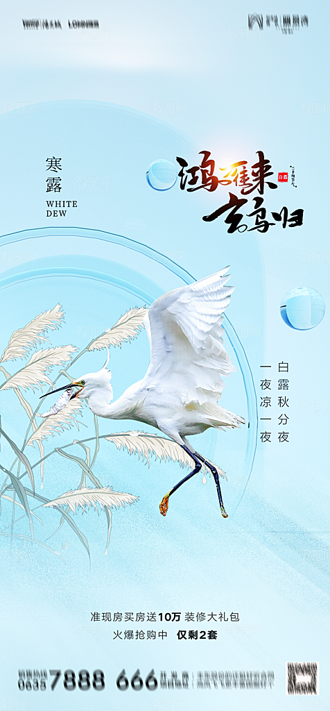 地产白露寒露简约大气海报