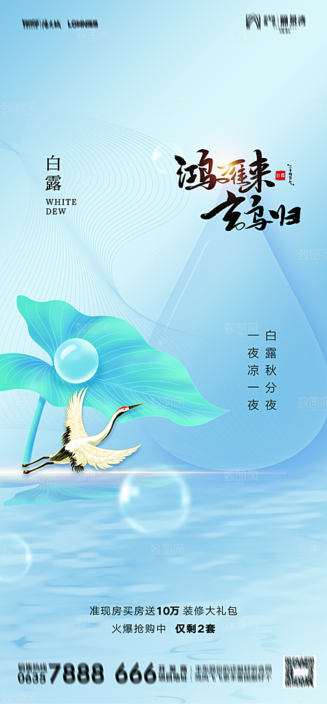 地产白露寒露简约大气海报