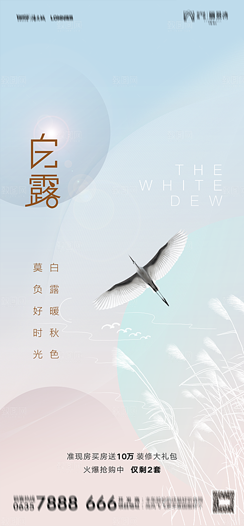 地产白露寒露简约大气海报