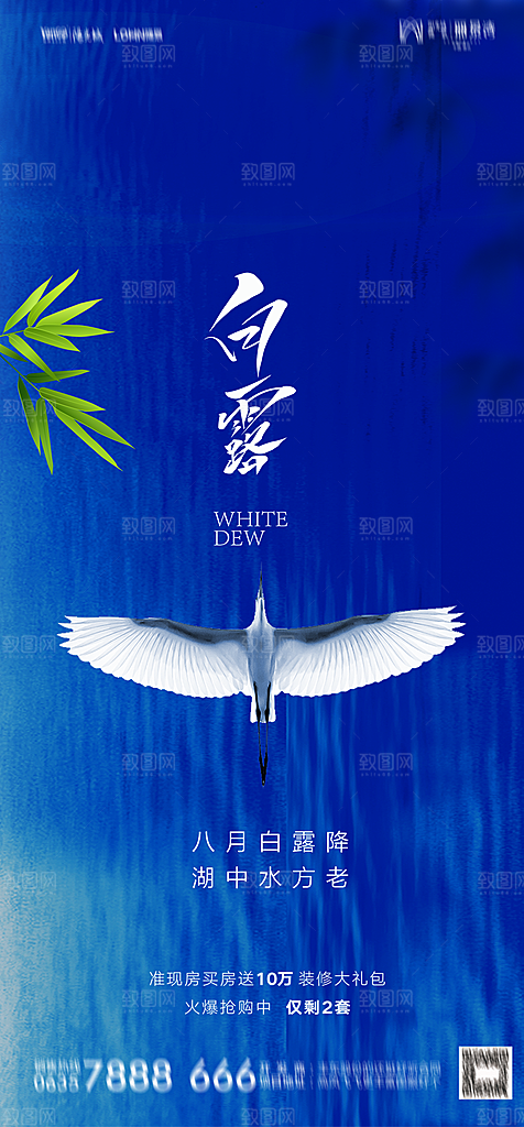 地产白露寒露简约大气海报