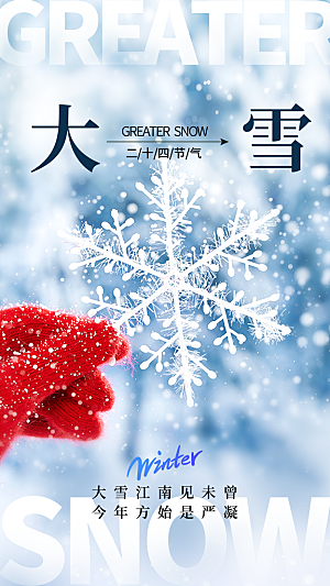 简约清新大雪节气摄影图海报