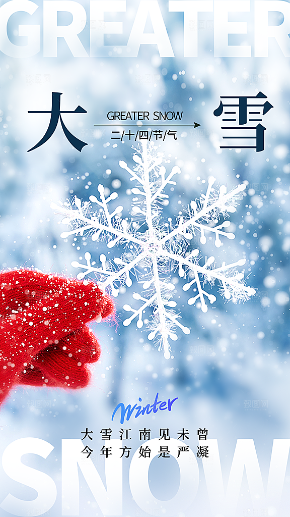 简约清新大雪节气摄影图海报