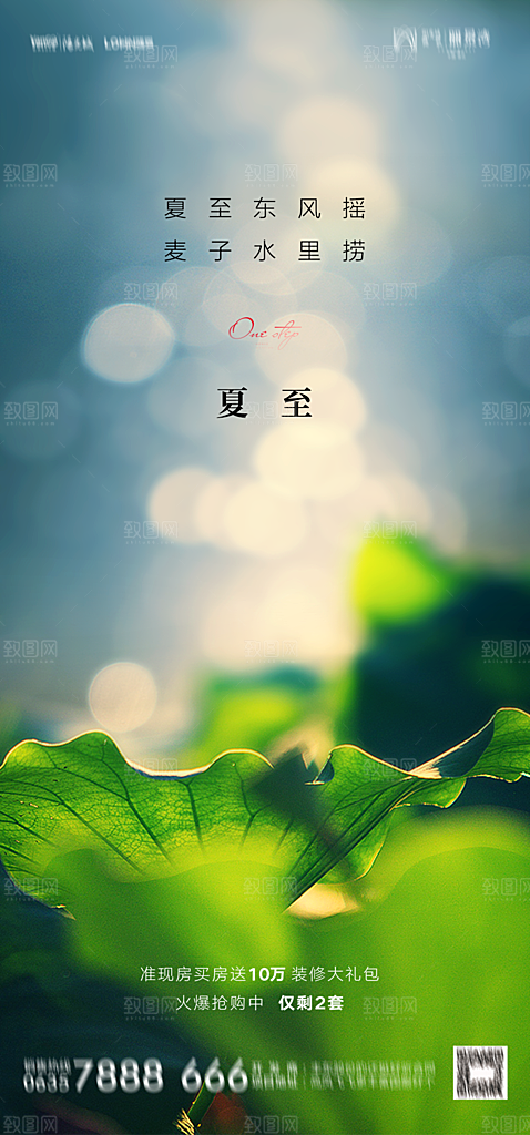 地产夏至节气简约大气海报