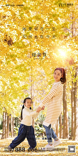 地产母亲节节日简约大气海报