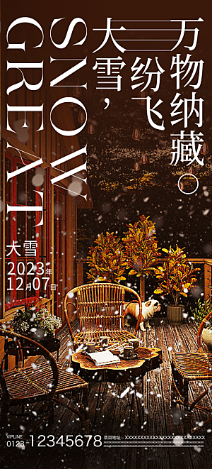 小寒大雪节气广告