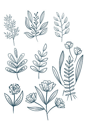 手绘线描花卉元素