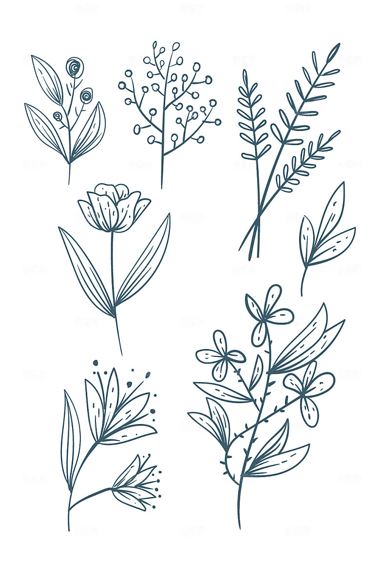 手绘线描花卉元素