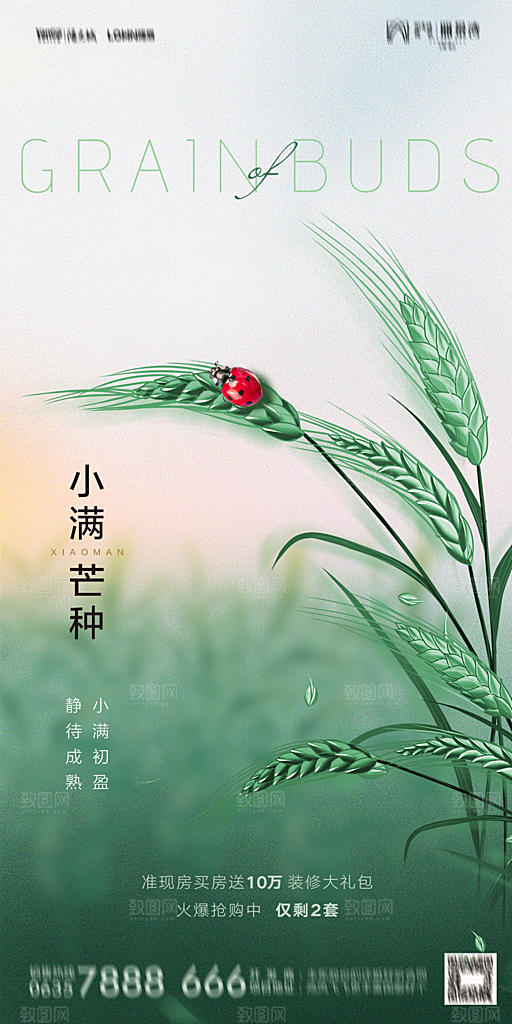 地产小满芒种节气简约大气海报
