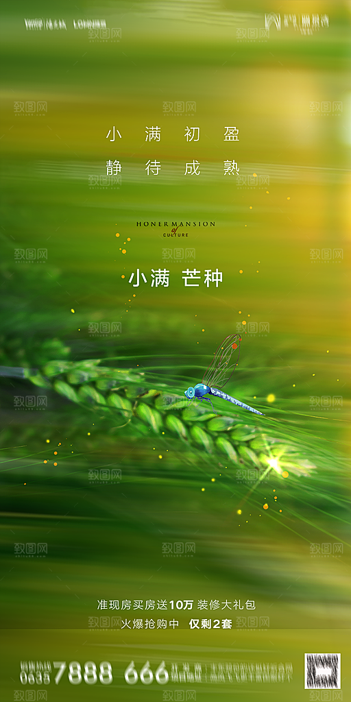 地产小满芒种节气简约大气海报