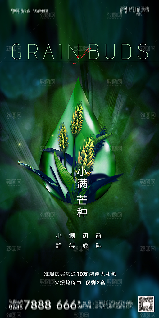 地产小满芒种节气简约大气海报