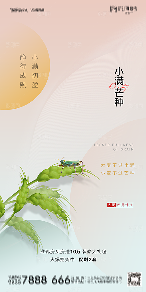 地产小满芒种节气简约大气海报