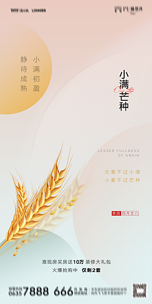 地产小满芒种节气简约大气海报