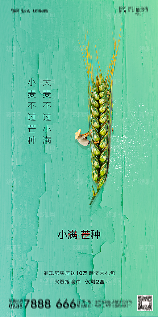 地产小满芒种节气简约大气海报