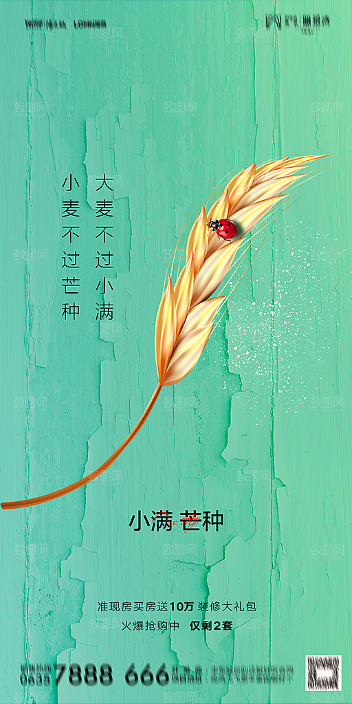 地产小满芒种节气简约大气海报