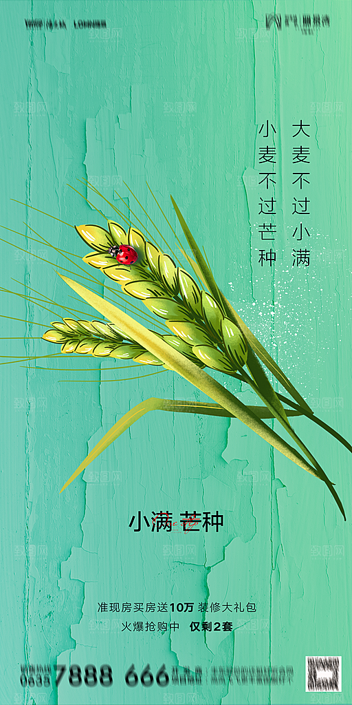 地产小满芒种节气简约大气海报
