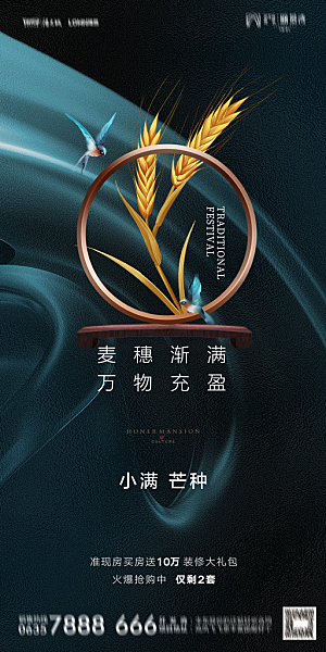 地产小满芒种节气简约大气海报