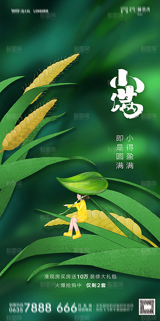 地产小满芒种节气简约大气海报