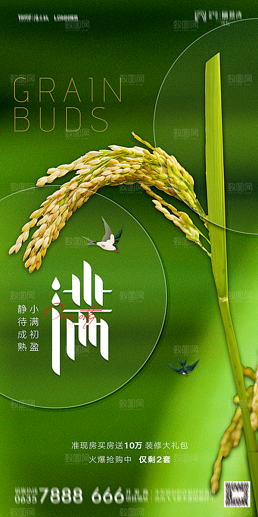 地产小满芒种节气简约大气海报