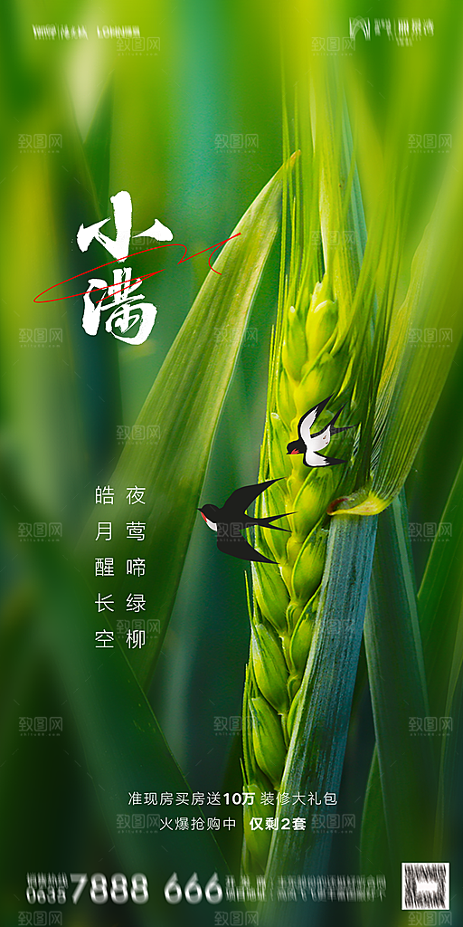 地产小满芒种节气简约大气海报