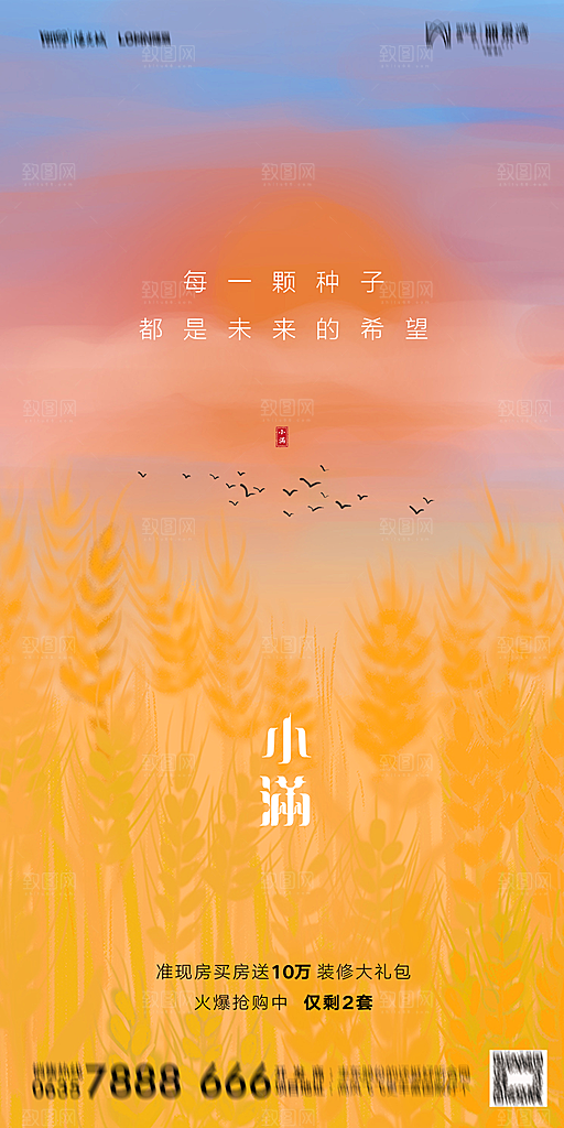 地产小满芒种节气简约大气海报