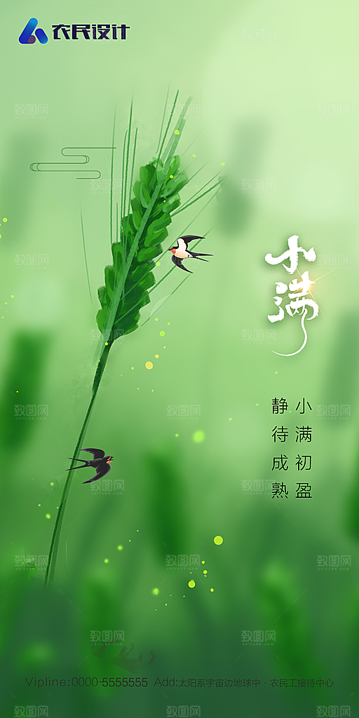 地产小满芒种节气简约大气海报