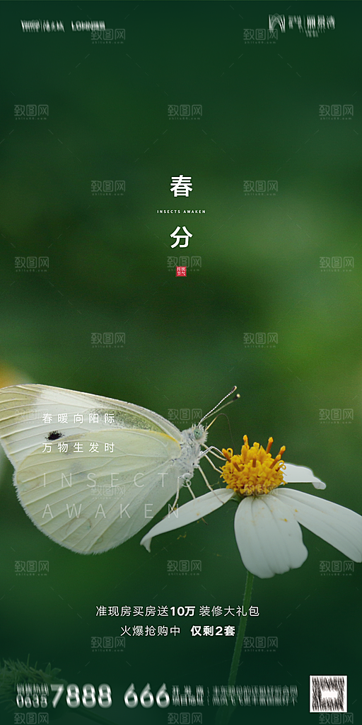 地产春分节气简约大气海报