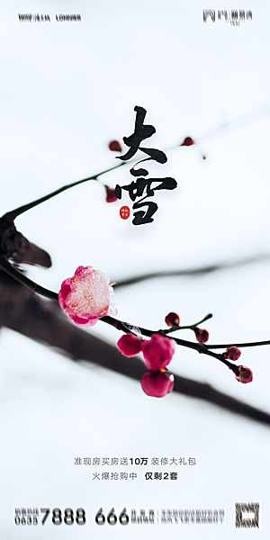 地产大雪节气简约大气海报