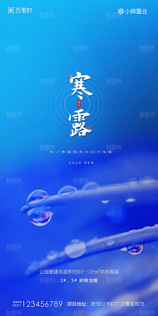 地产寒露节气简约大气海报