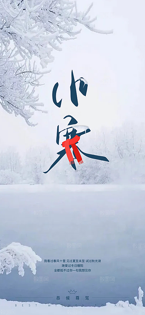 中国传统节气小寒简约中国风手机海报