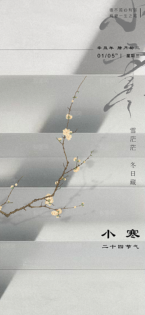 中国传统节气小寒简约中国风手机海报