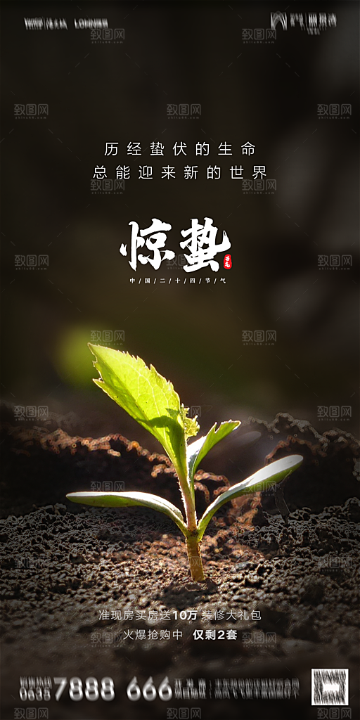 地产惊蛰节气简约大气海报