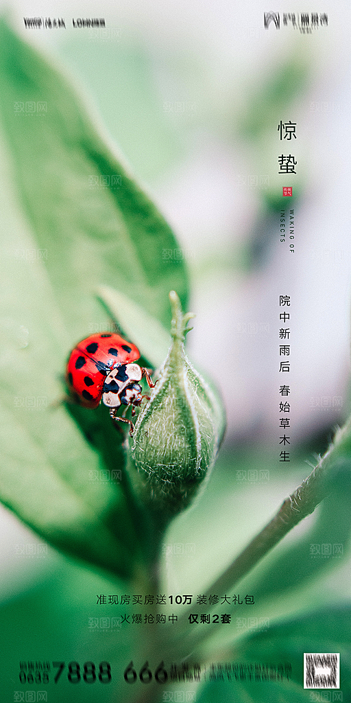 地产惊蛰节气简约大气海报