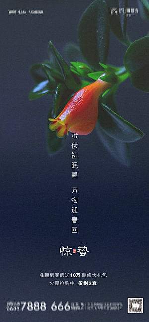 地产惊蛰节气简约大气海报