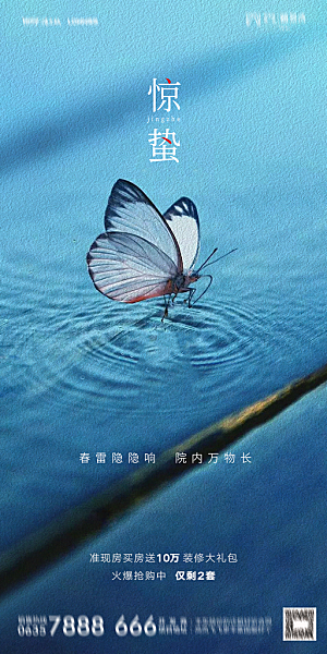 地产惊蛰节气简约大气海报