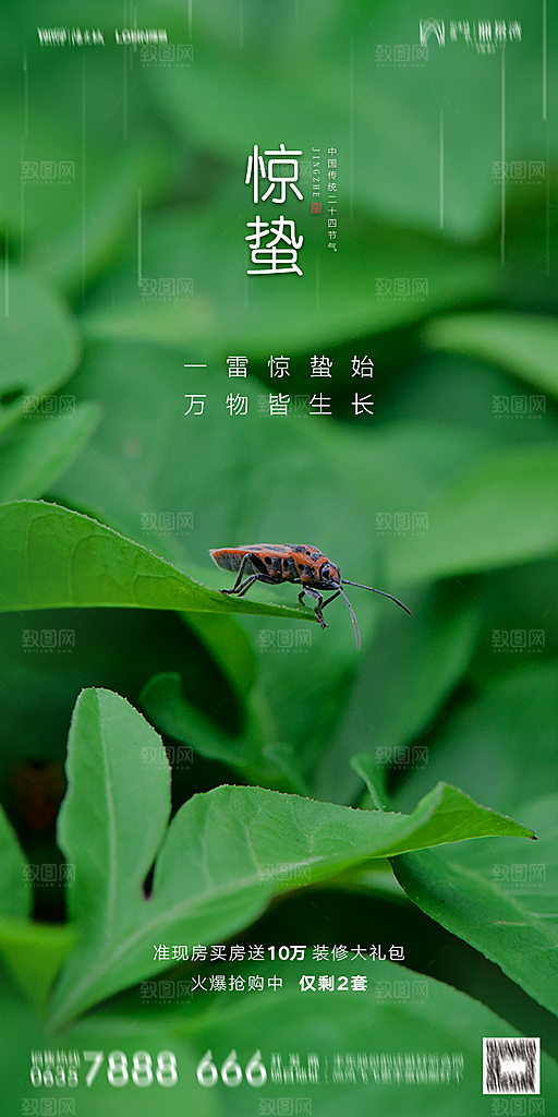 地产惊蛰节气简约大气海报