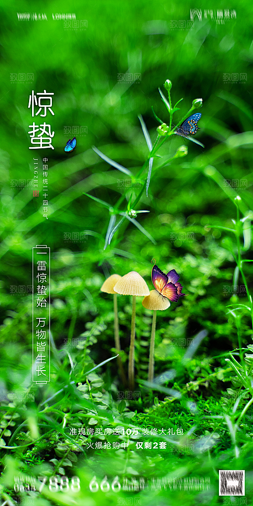 地产惊蛰节气简约大气海报