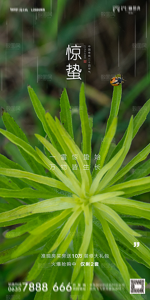 地产惊蛰节气简约大气海报