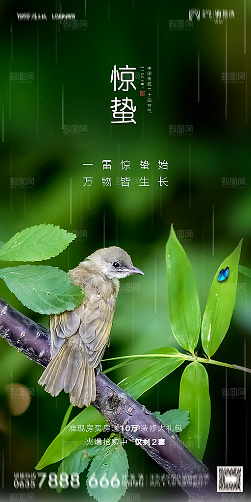 地产惊蛰节气简约大气海报