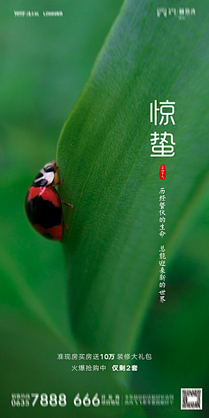 地产惊蛰节气简约大气海报