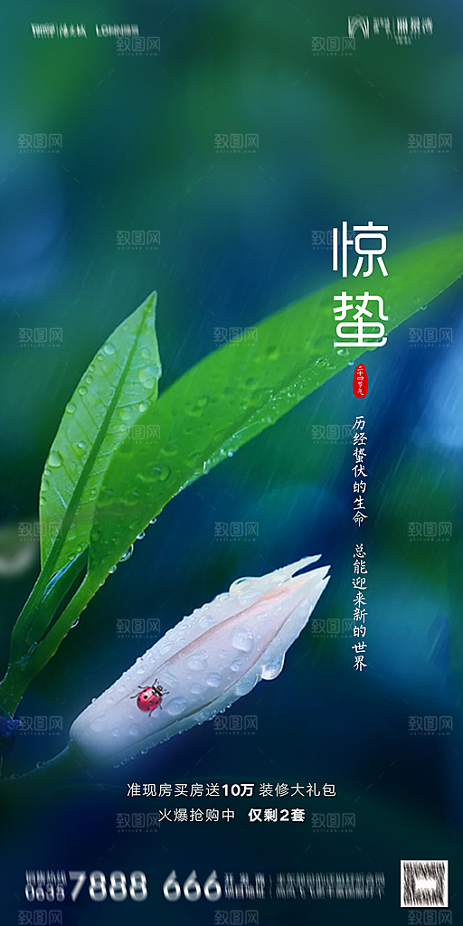 地产惊蛰节气简约大气海报