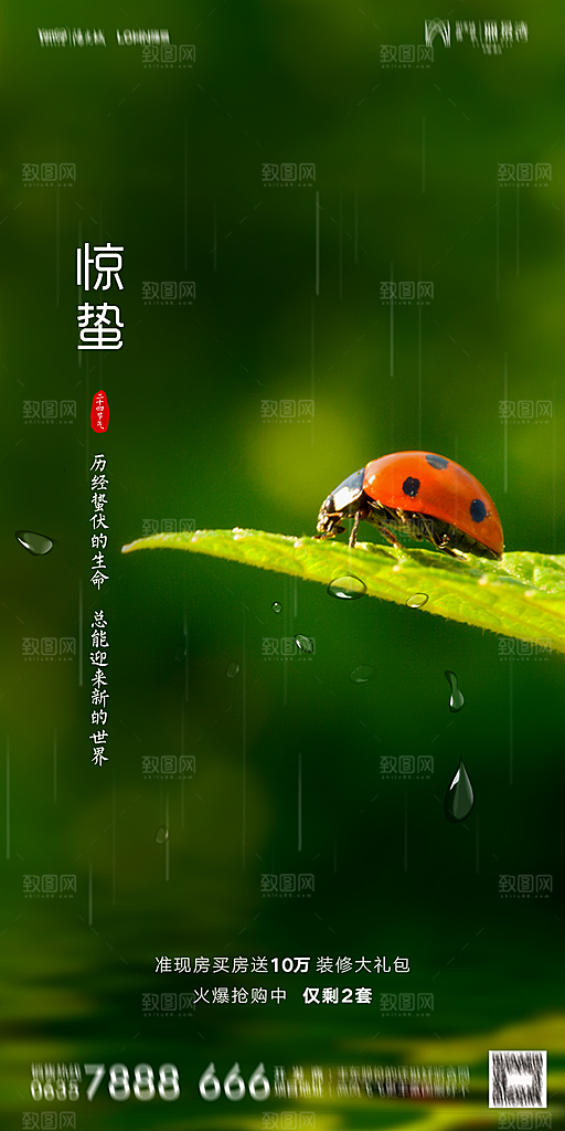 地产惊蛰节气简约大气海报