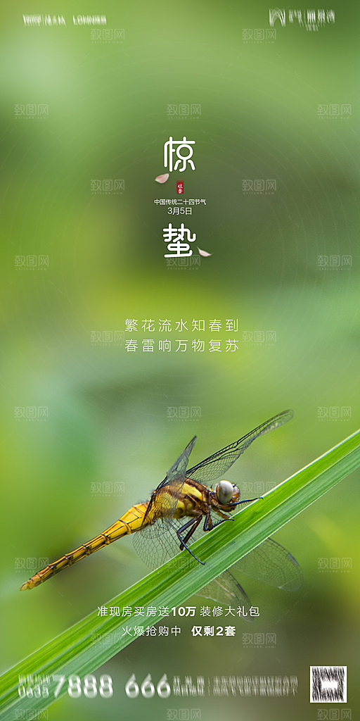 地产惊蛰节气简约大气海报
