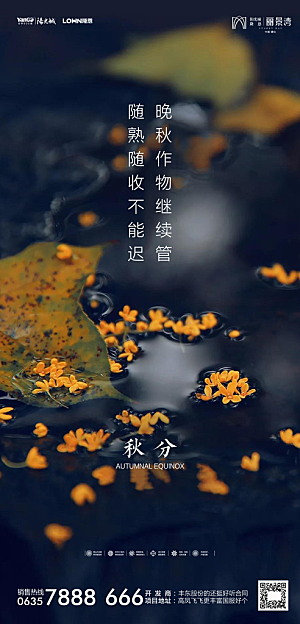地产秋分节气简约大气海报